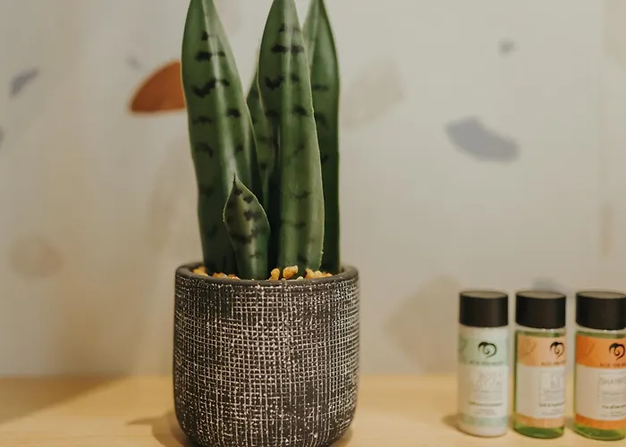 Veranda Appartement Pláka